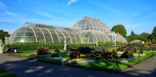 Truro-born botanist celebrated 