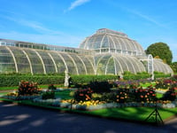 Truro-born botanist celebrated 
