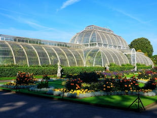 Truro-born botanist celebrated 