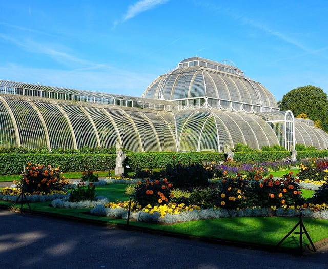 Truro-born botanist celebrated 