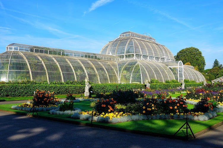 Miss Warren was a valued contributor of specimens to Kew Gardens 