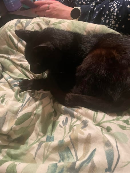 Cuddles with Colin the Cat after his safe return. (Picture: Cllr Leigh Frost)