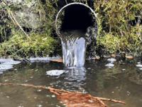 Cornish village plagued by 'horrendous' sewage crisis 
