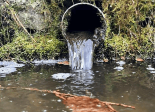 Cornish village plagued by 'horrendous' sewage crisis 