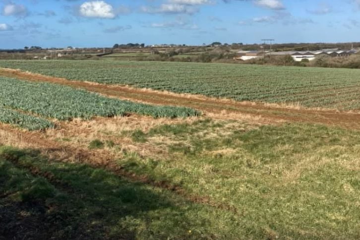 Just two of the 22 fields where the solar farm could be sited.