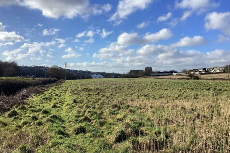 The land where the solar farm will be installed.