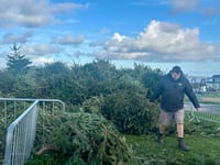Christmas tree recycling initiative has extra sparkle