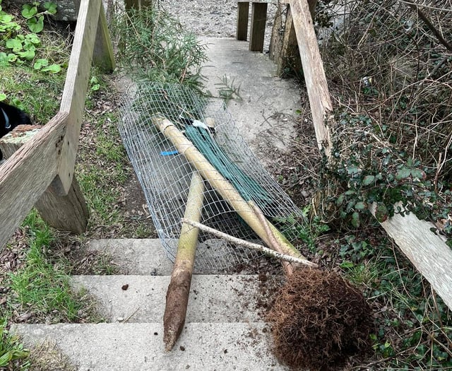 Police plea to residents in Saltash to use 101 to report ASB 
