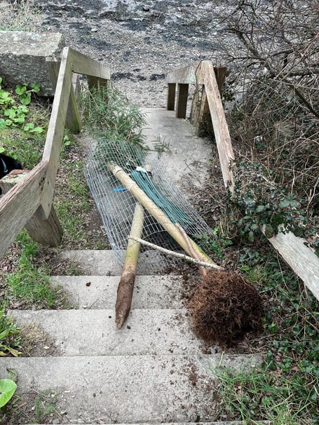 One of the vandalised trees had been uprooted and left on steps to the river, and was replanted by a local resident. (Picture: Name supplied)