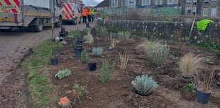 Plans to give the Barrowfields a makeover taking shape