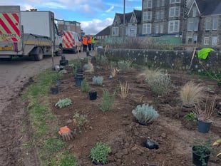 Keen gardeners invited to help spruce up the Barrowfields