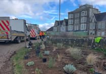 Keen gardeners invited to help make Barrowfields more beautiful