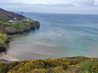 South West Water to invest £24-million to tackle sewage spills