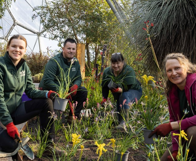 'Pawsome' new plants at the Eden Project