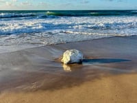 Coastguard called to reports of pollution being washed up