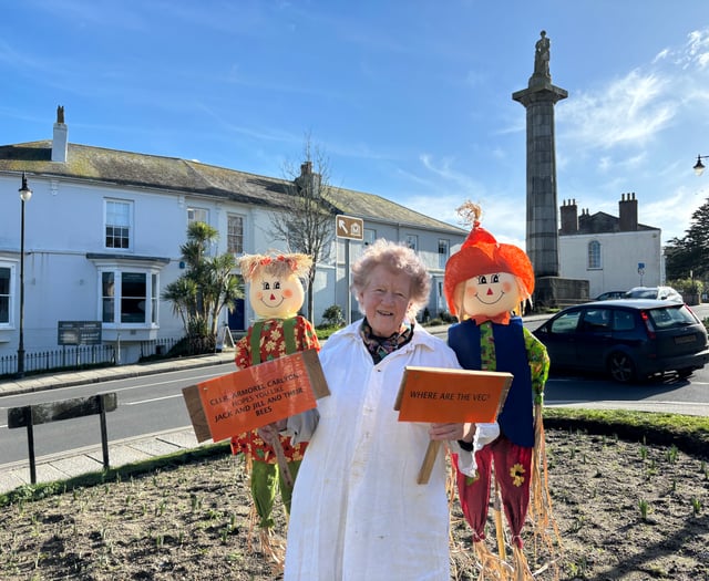 "Guerrilla granny" brings cheer