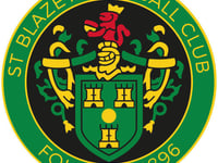 Hart rues lack of threat as Blazey beaten by Wellington
