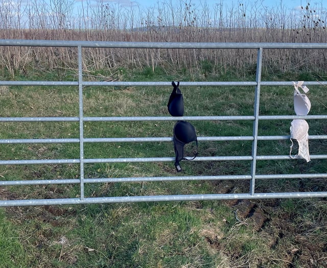 Farmer bewildered after bras appear tied to gates on country lanes