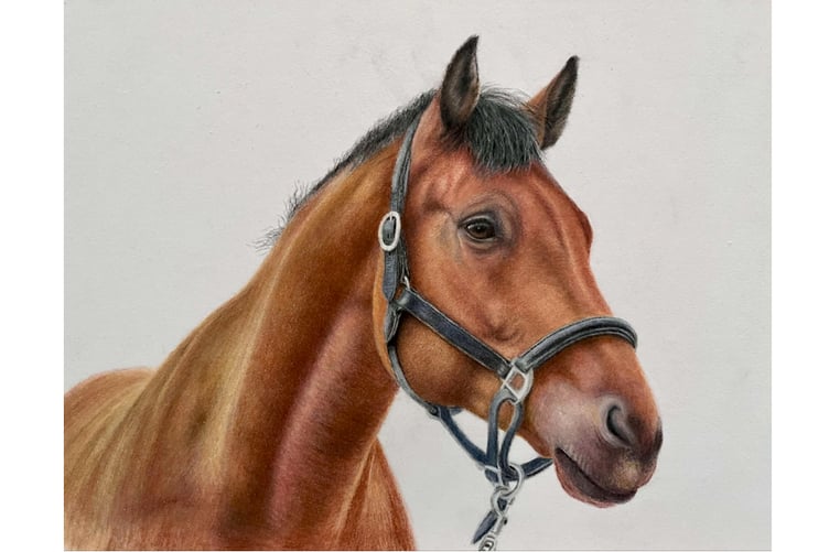 Artist Karen Chapman has created this horse picture.