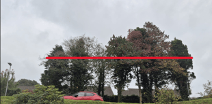 Planning: Council refuse proposals to reduce height of protected trees