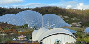 Eden Project to host huge open-air cinema screen