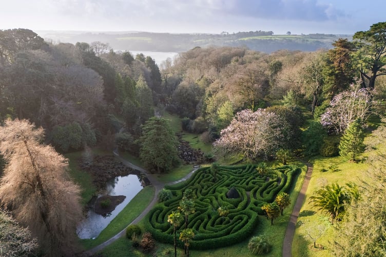 Glendurgan - 24th February 2025
View over the gardens from the air towards The Helford River Estuary showing the maze, woodland and two highlighted magnolia trees