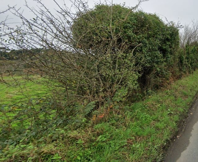 Bid to increase speed limit slammed as ‘underhand’ and dangerous