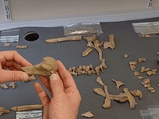 Mystery of medieval remains of man uncovered by experts