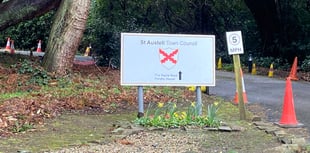 Voting for town councillors to take place in only one ward