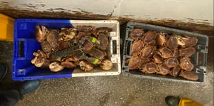 Company prosecuted for multiple fishing offences