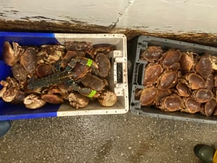 Company prosecuted for multiple fishing offences