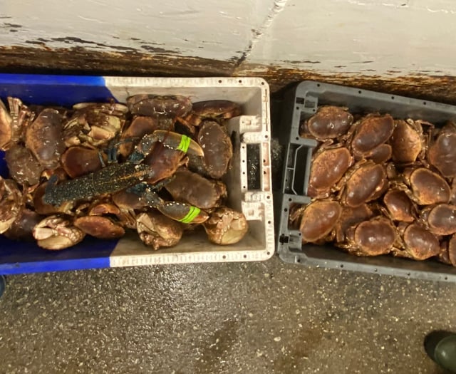 Company prosecuted for multiple fishing offences