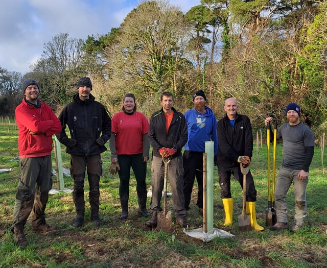 Volunteers plant 800 trees to help tackle climate change
