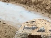 Suspected 'pollution discharge' at Porth Beach