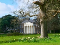Visitors can celebrate Spring's arrival at Trelissick this weekend