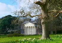 Celebrate National Trust anniversary with Cornish art workshops