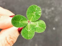 Kirstie Newton: British superstitions that still captivate