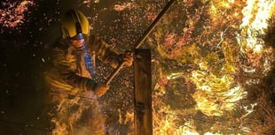 Arson attack at a nature reserve has "devastating” impact on wildlife