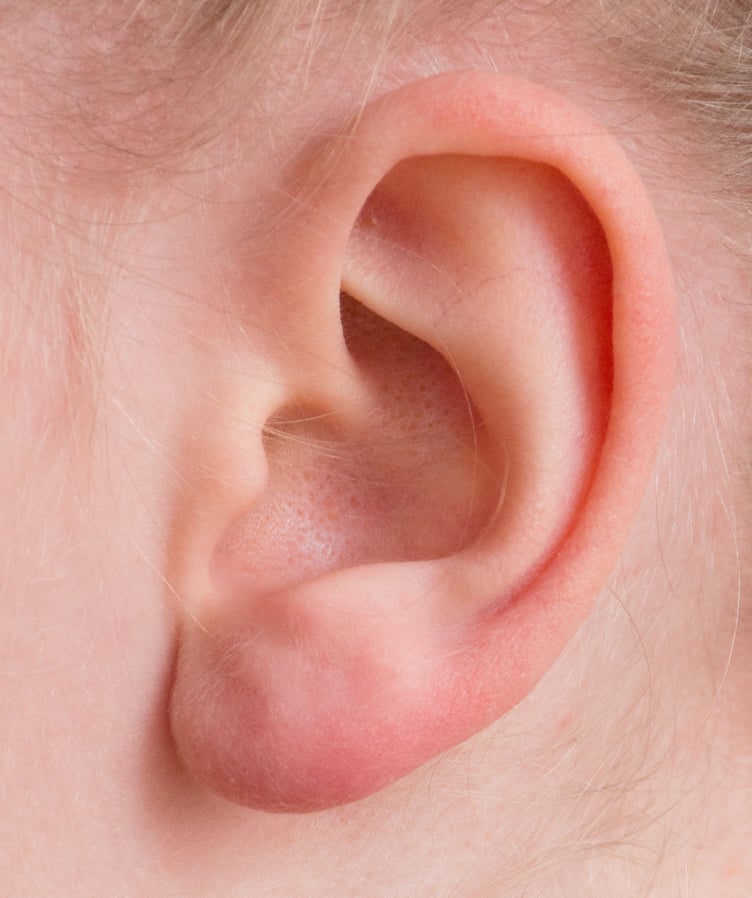 An ear - stock image