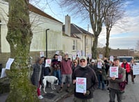 Controversial felling of trees paused for months