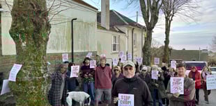 Controversial felling of trees paused for months