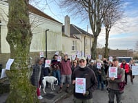 Controversial felling of trees paused for months