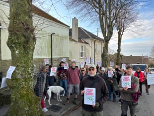 Controversial felling of trees paused for months