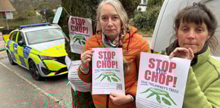 Tree protesters unhappy at lack of communication