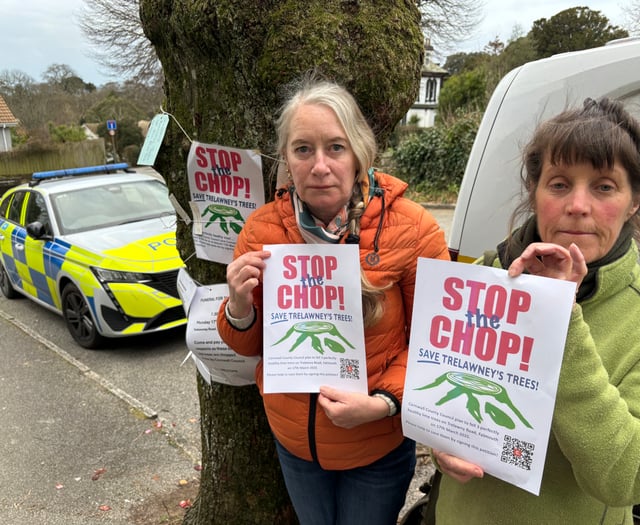 Tree protesters unhappy at lack of communication