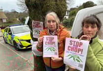 Tree protesters unhappy at lack of communication