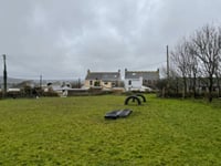 Barking mad dog field ban is refused