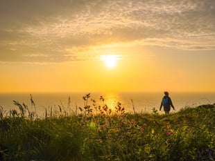 Photographers capture South West Coast Path in all of its glory
