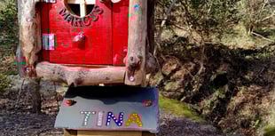 City council to help with fairy door trail 
