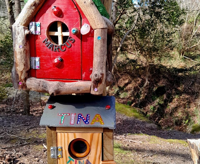 City council to help with fairy door trail 